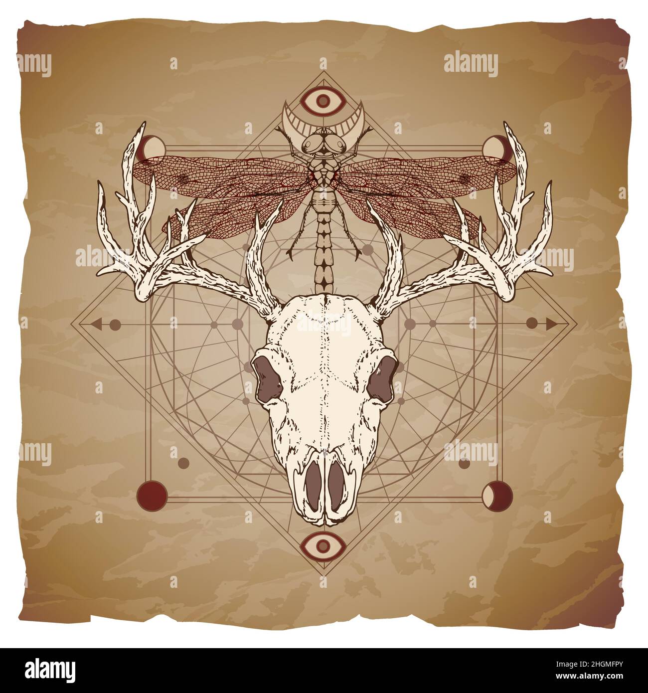 Vector illustration with hand drawn deer skull, dragonfly and Sacred geometric symbol on vintage paper background with torn edges. Abstract mystic sig Stock Vector