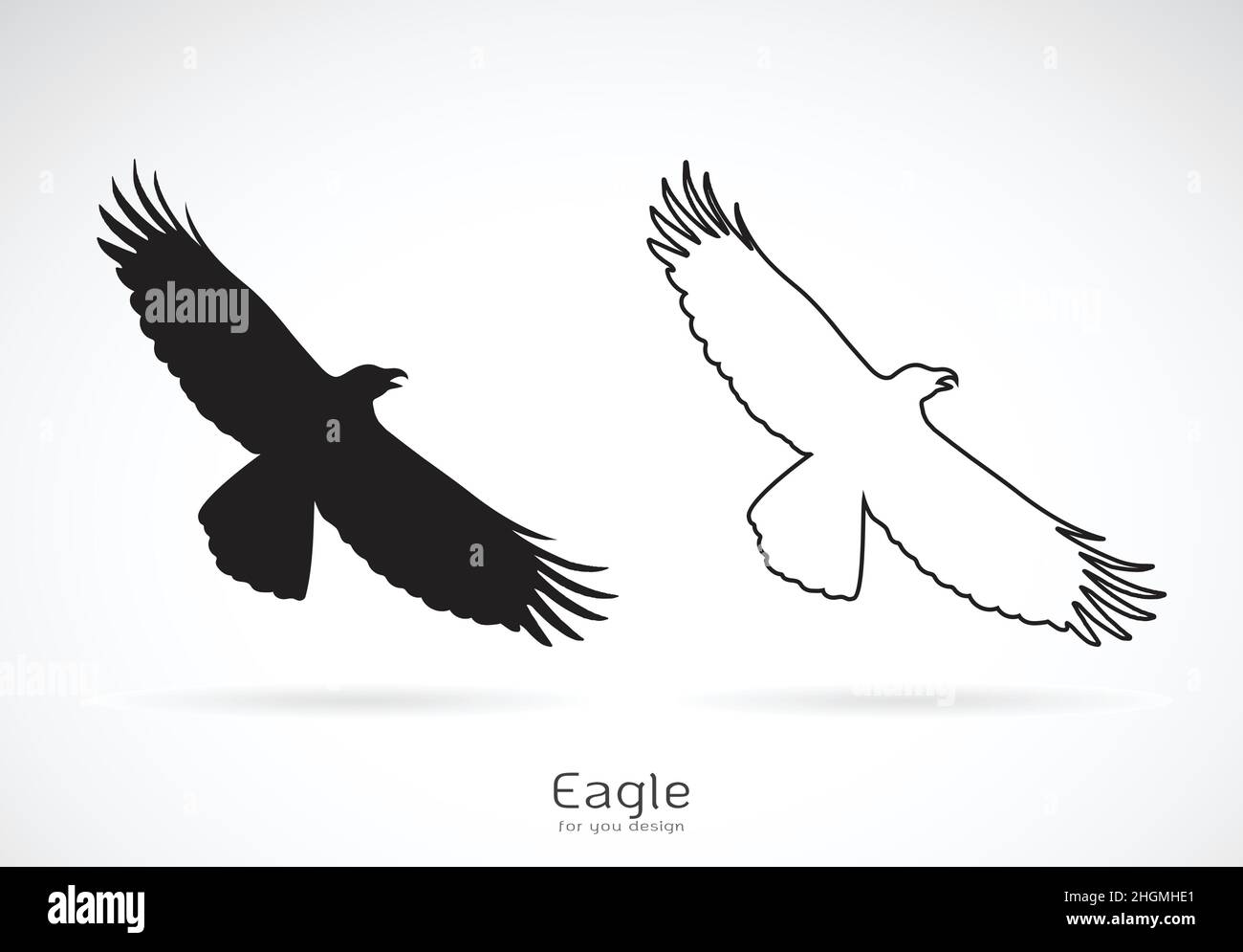 Vector of the eagle is spreading its wings. on white background, Wild Animals. Bird. Stock Vector