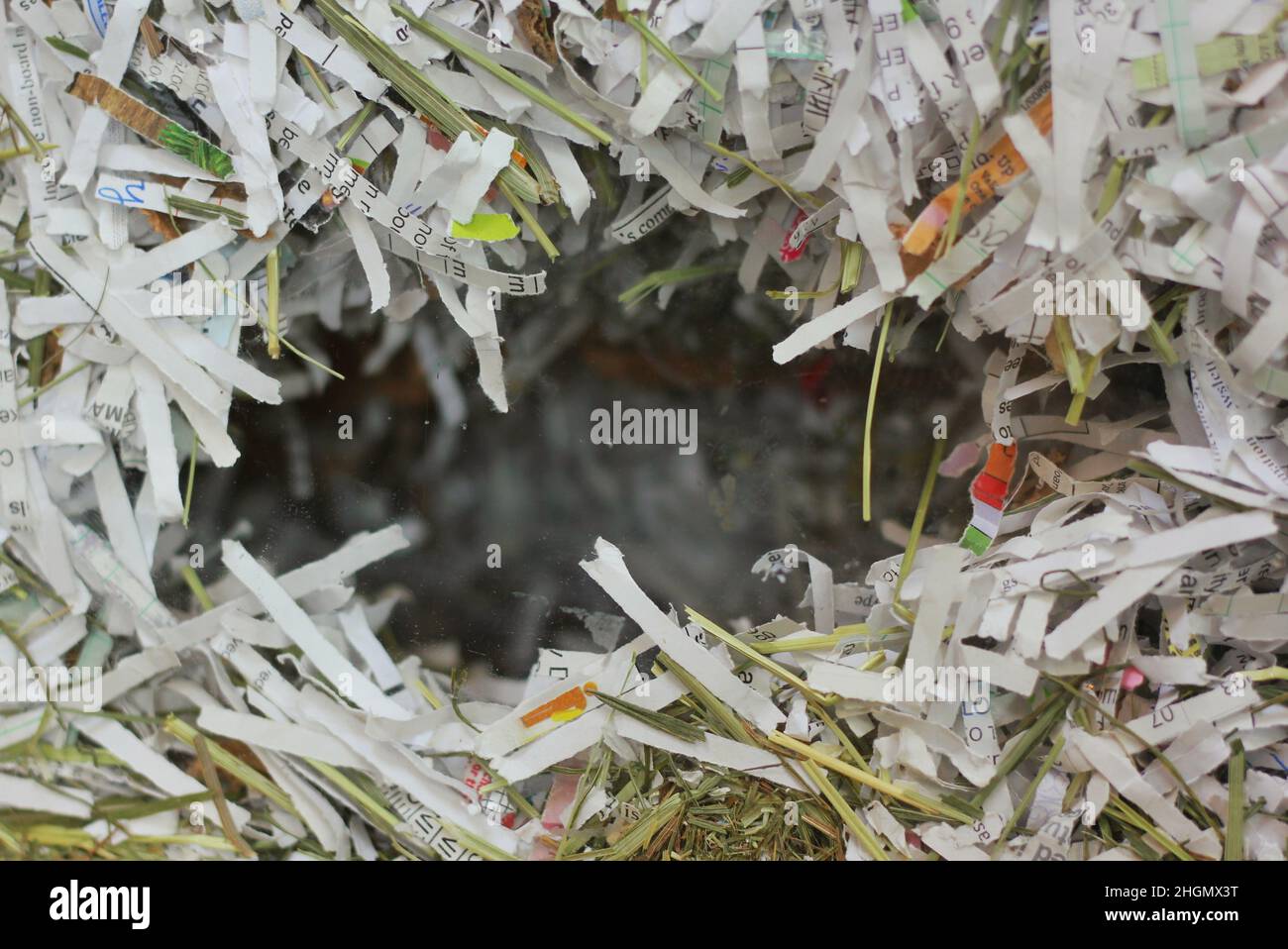 Stack of shredded paper used as bedding for a pet Stock Photo Alamy