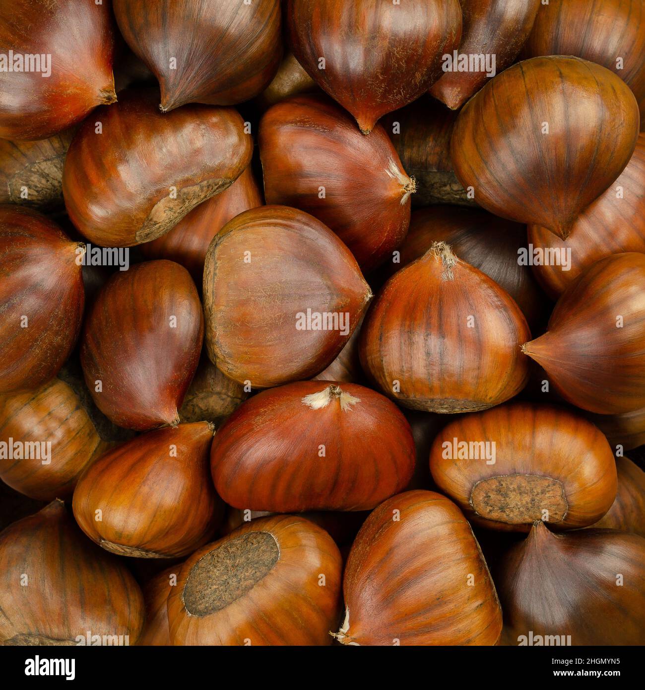 Chestnuts, surface and background. Edible nuts of sweet chestnut, Castanea sativa. They can be eaten raw, candied, cooked, milled or roasted. Stock Photo