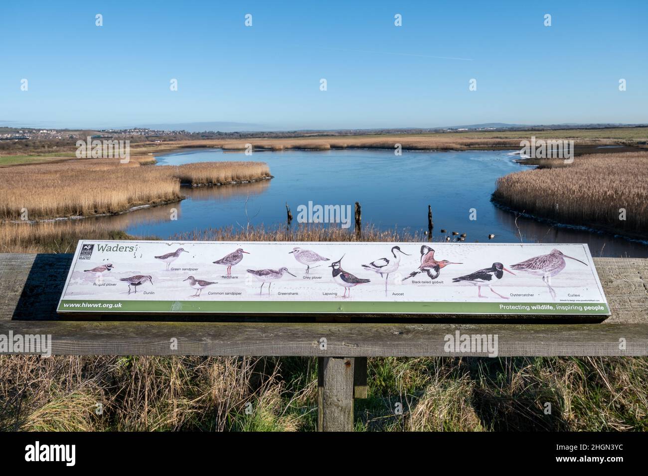 View over Farlington Marshes Nature Reserve with an information panel showing bird species at the wildlife site, Hampshire, UK, on a sunny winter day Stock Photo