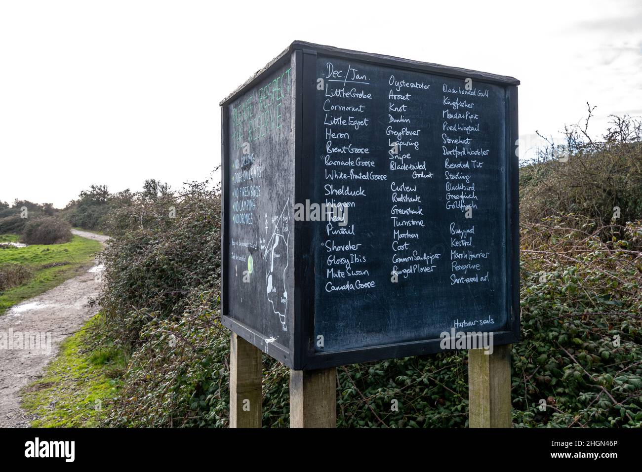 Blackboard showing list of recent winter bird sightings (December and January) at Farlington Marshes Nature Reserve in Hampshire, England, UK Stock Photo