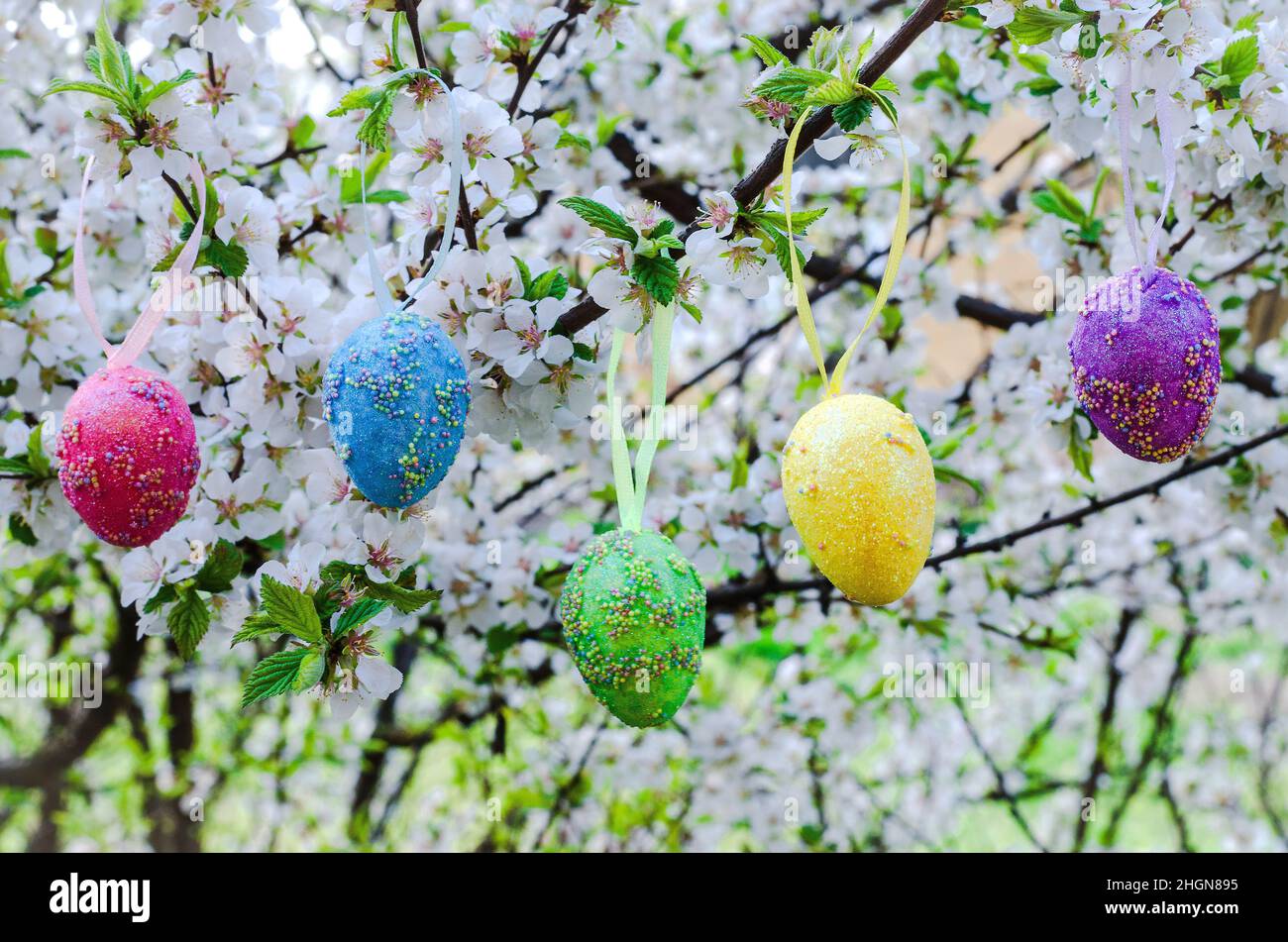 Decorative easter eggs on a flowering tree Stock Photo - Alamy