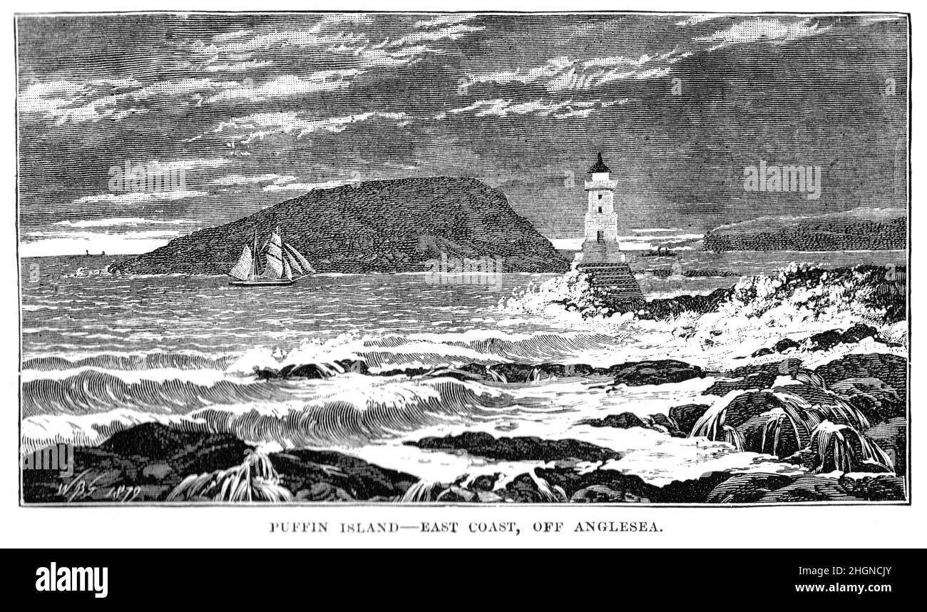 Black and White Illustration; Puffin Island, Anglesea, North Wales in