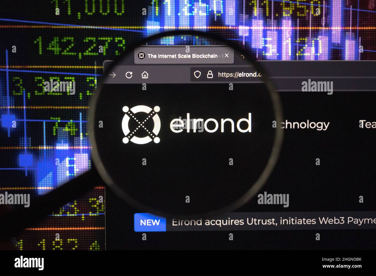 Elrond crypto company logo on a website, seen on a computer screen through  a magnifying glass Stock Photo - Alamy