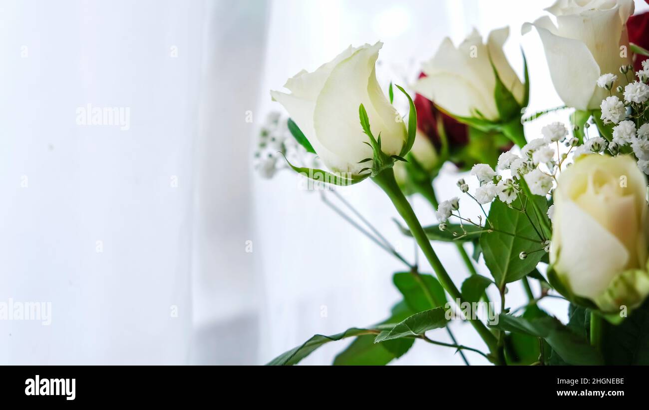 Beautiful bouquet of roses on a window with the text Happy Birthday Stock  Photo - Alamy