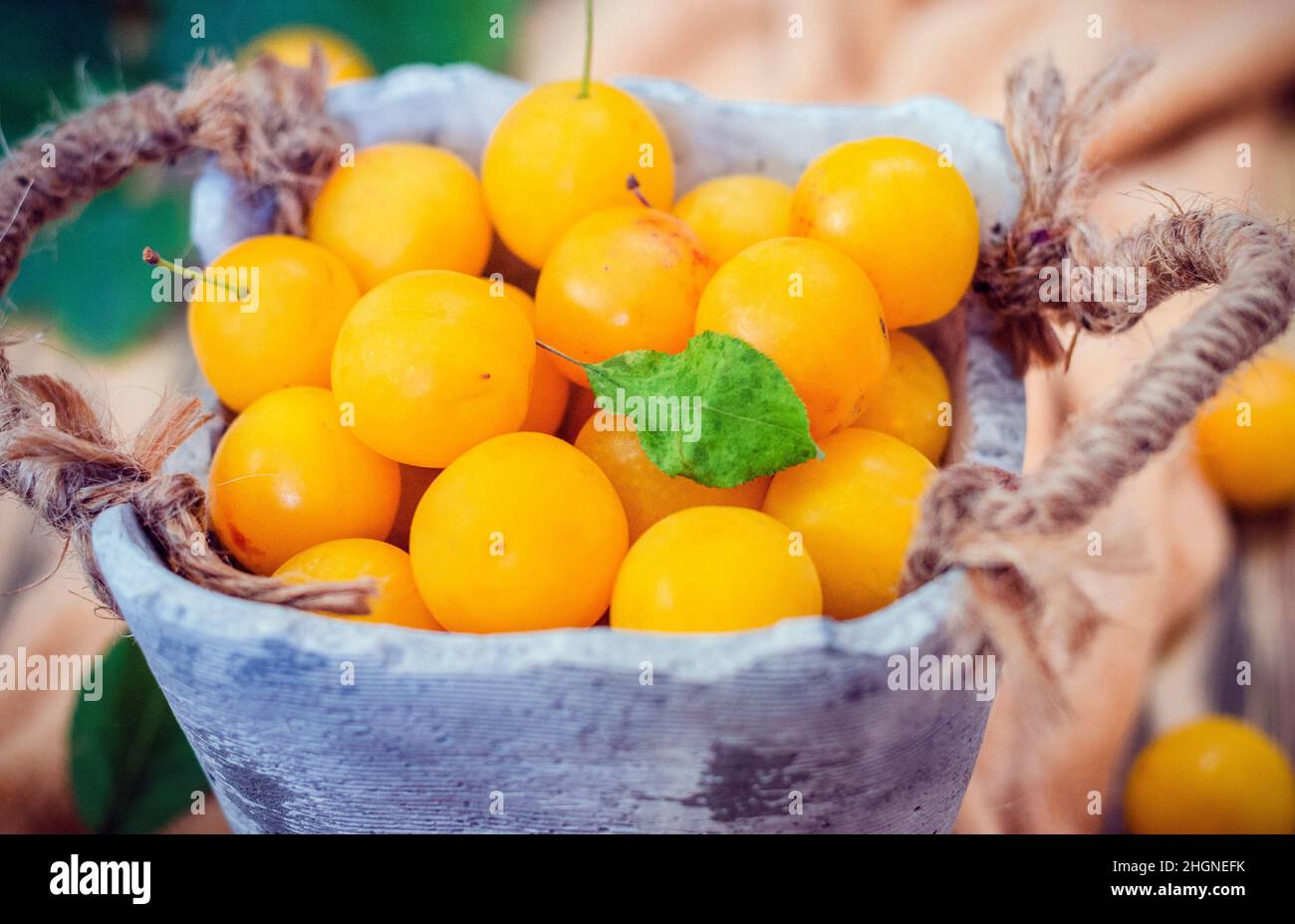 Yellow fresh cherry plum on the table Stock Photo