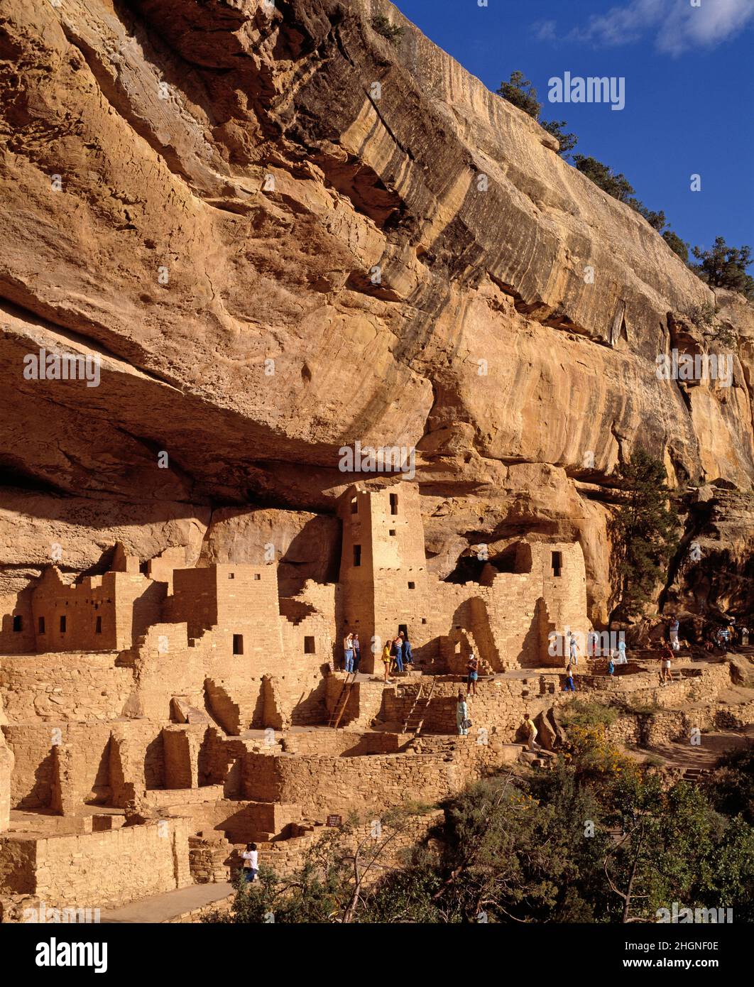 Ancestral Puebloan cliff dwellings. Cliff Palace. Stock Photo