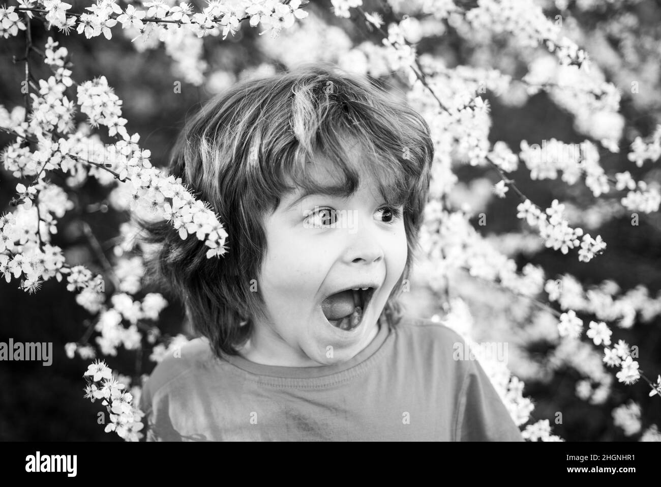 Excited kid in blooming tree in spring park. Happy boy outdoor. Blossom