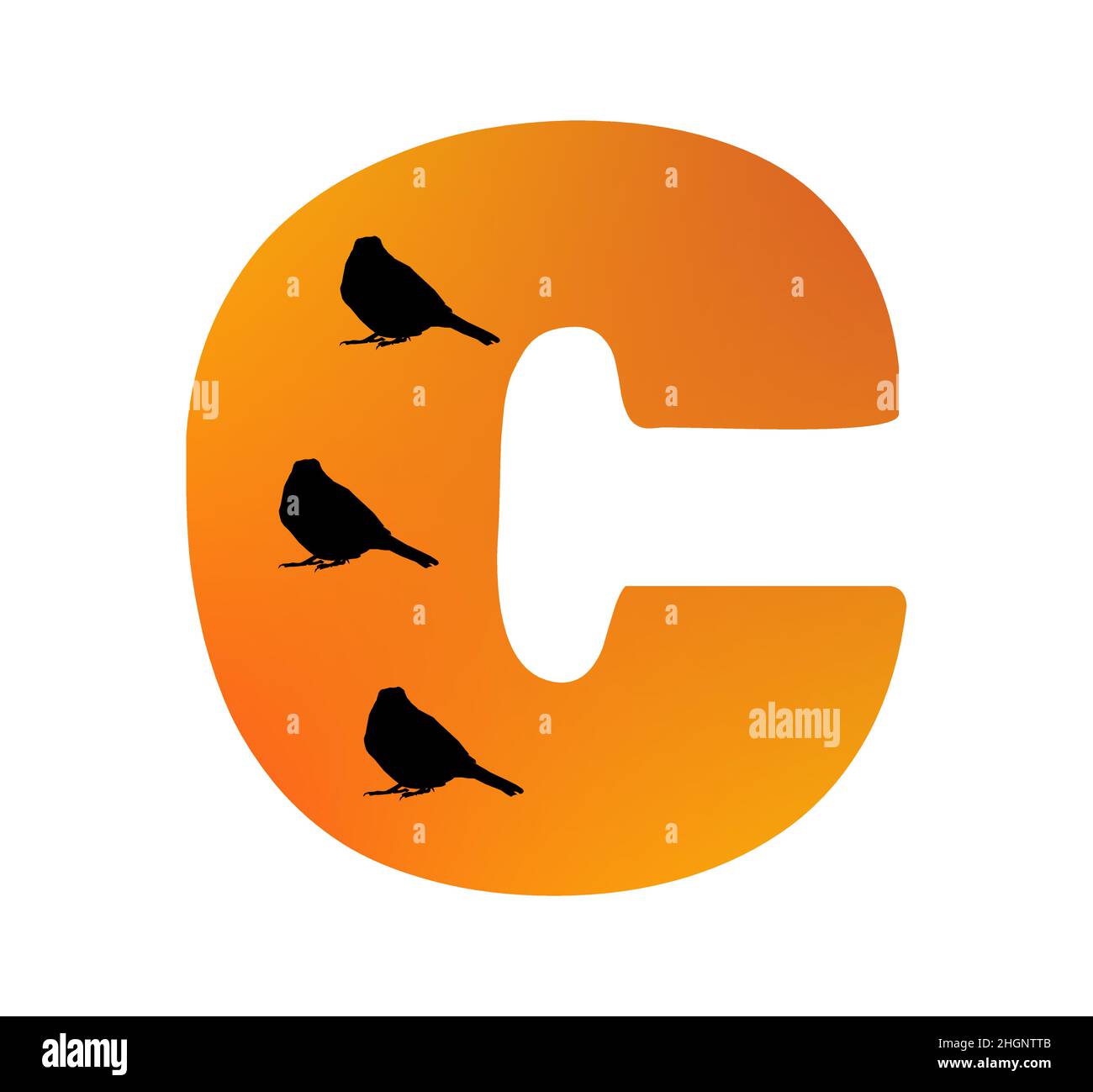 Letter C of the alphabet made with color orange and three silhouette of birds, isolated on a white background; vector Stock Vector