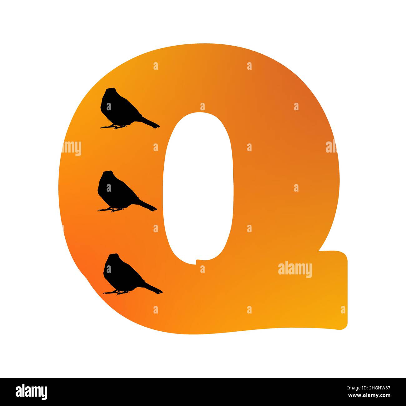 Letter Q of the alphabet made with color orange and three silhouette of birds, isolated on a white background; vector Stock Vector