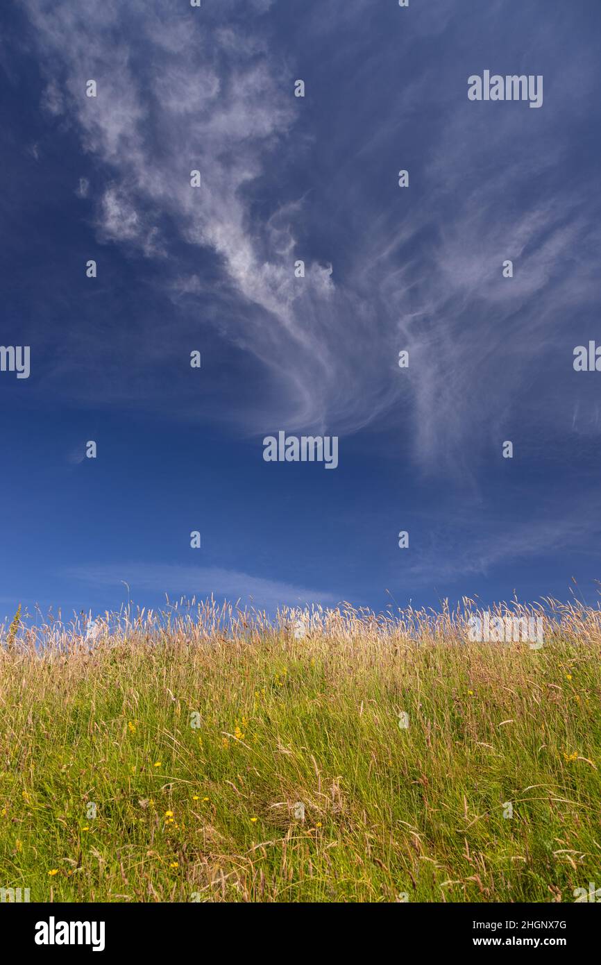 Cirrus clouds over grass, Mwnt, Ceredigion, Wales Stock Photo