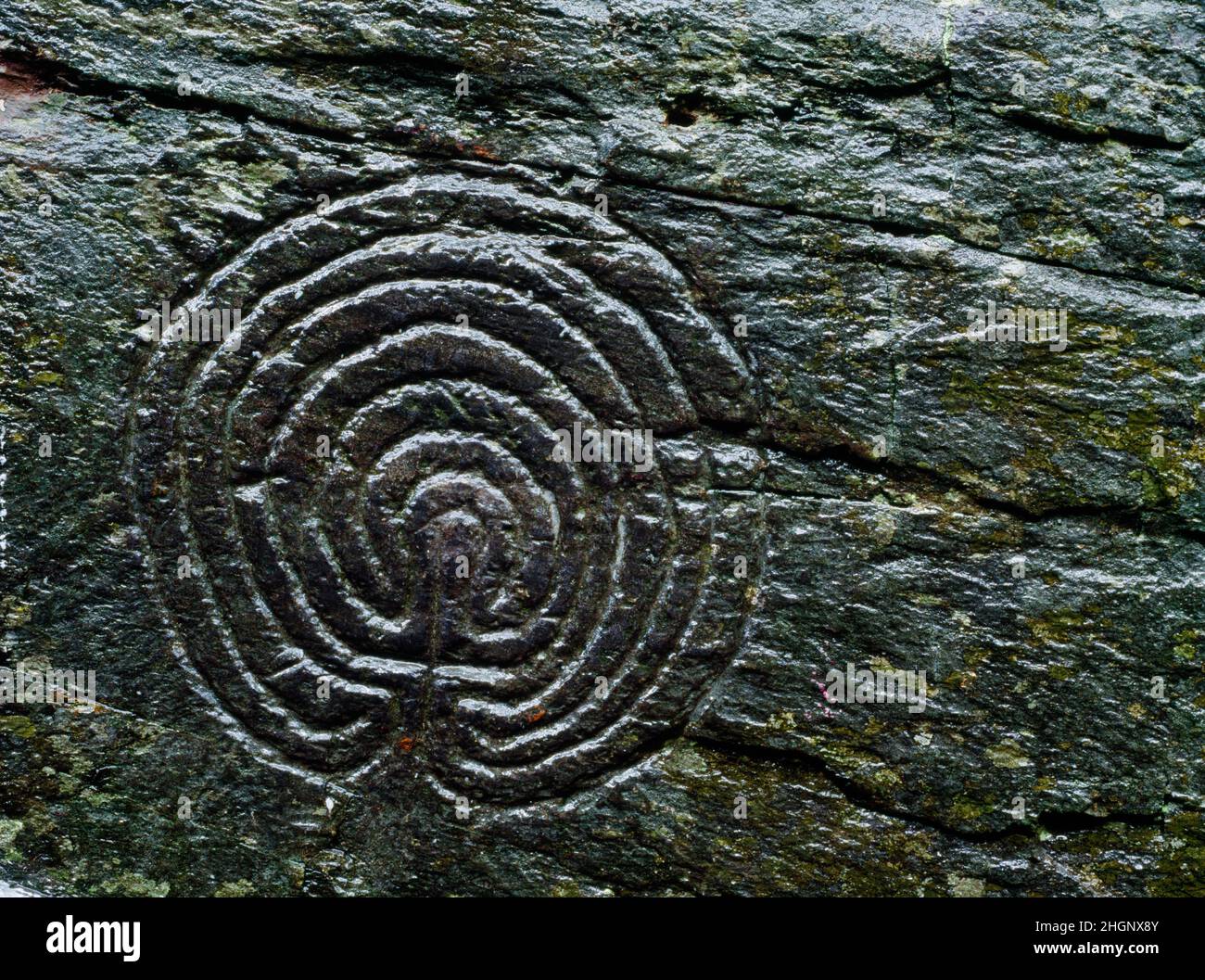 Rocky Valley Rock Carvings, Trethevey, Tintagel, Cornwall, UK. One of two possibly prehistoric mazes carved on a vertical rock face near Bossiney. Stock Photo