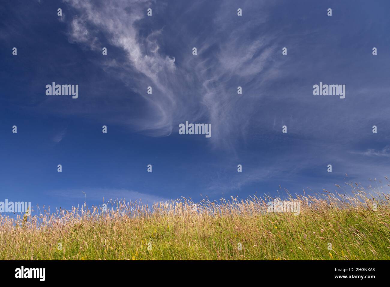 Cirrus clouds over grass, Mwnt, Ceredigion, Wales Stock Photo