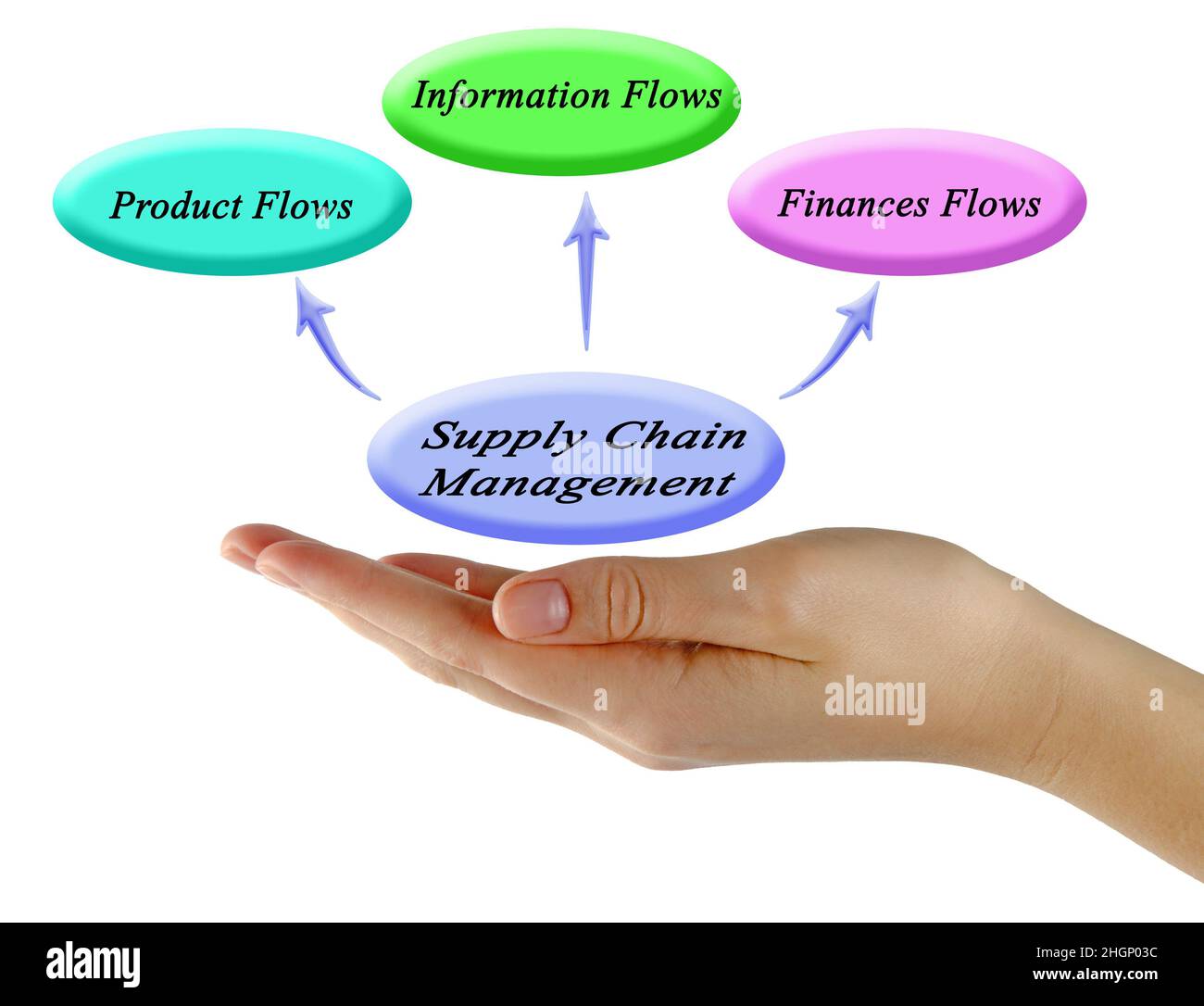 Components of Supply Chain Management Stock Photo Alamy