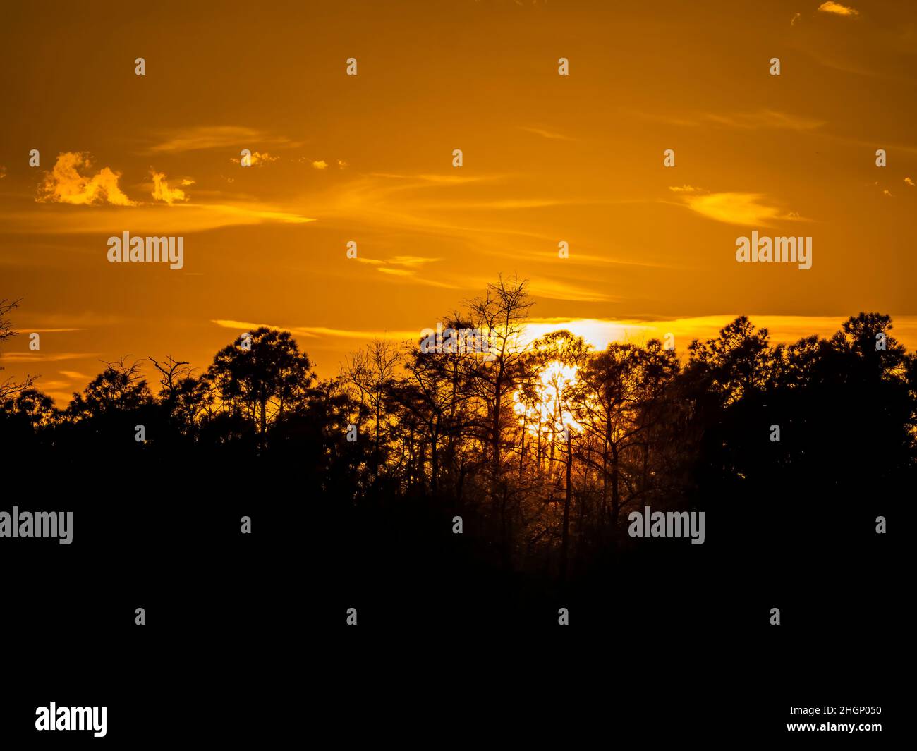 Sunset at  Kirby Shorter Roadside Park area of Big Cypress National Preserve in Florida USA Stock Photo