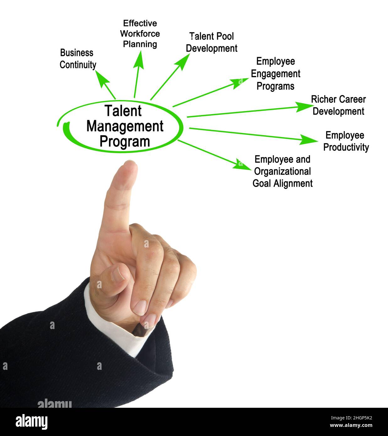 Components of Talent Management Program Stock Photo - Alamy