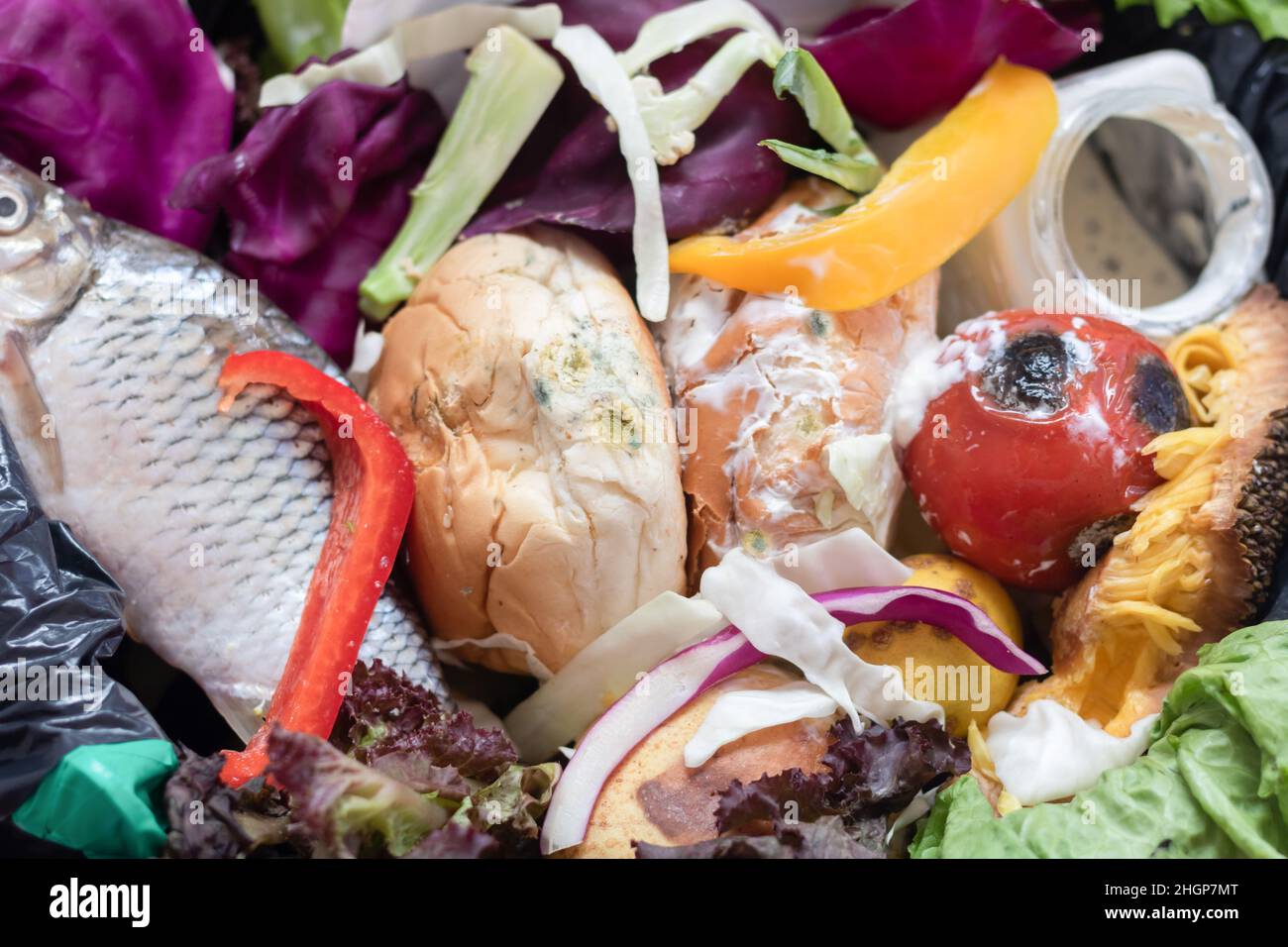 Waste bin with unused food. Food waste as a global problem in the world. Closeup. Concept of