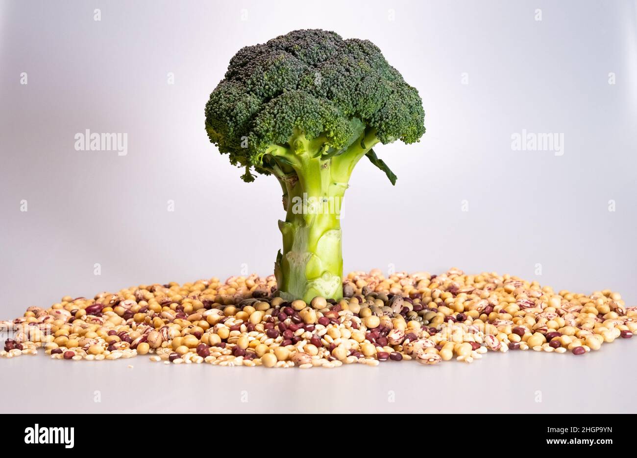 vegan food broccoli tree on soy soil, beans, azuki and pinto beans