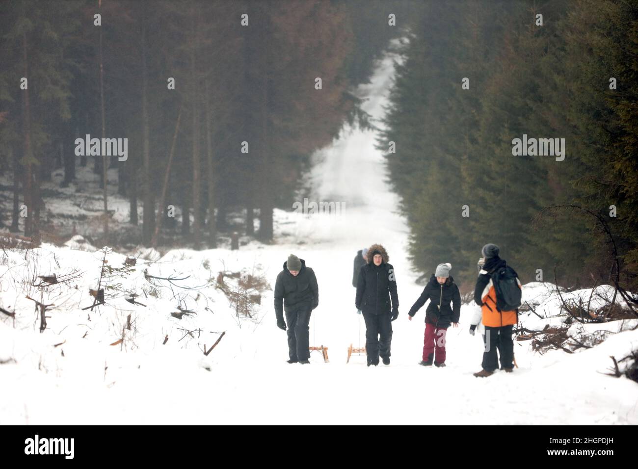Schierke, Germany. 22nd Jan, 2022. Tourists go hiking in the fog in the Harz National Park. A change in the weather brought a thaw on Saturday night, turning the snow below 900 meters into slush. Credit: Matthias Bein/dpa-Zentralbild/dpa/Alamy Live News Stock Photo