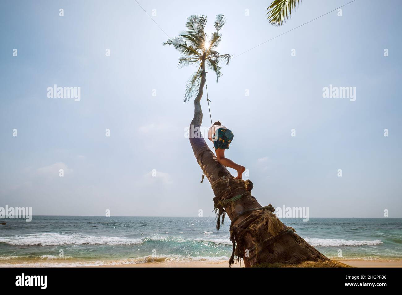 Teenager boy climbing a palm tree for swinging on the beach swing. Sri Lanka island exotic vacation concept image. Stock Photo