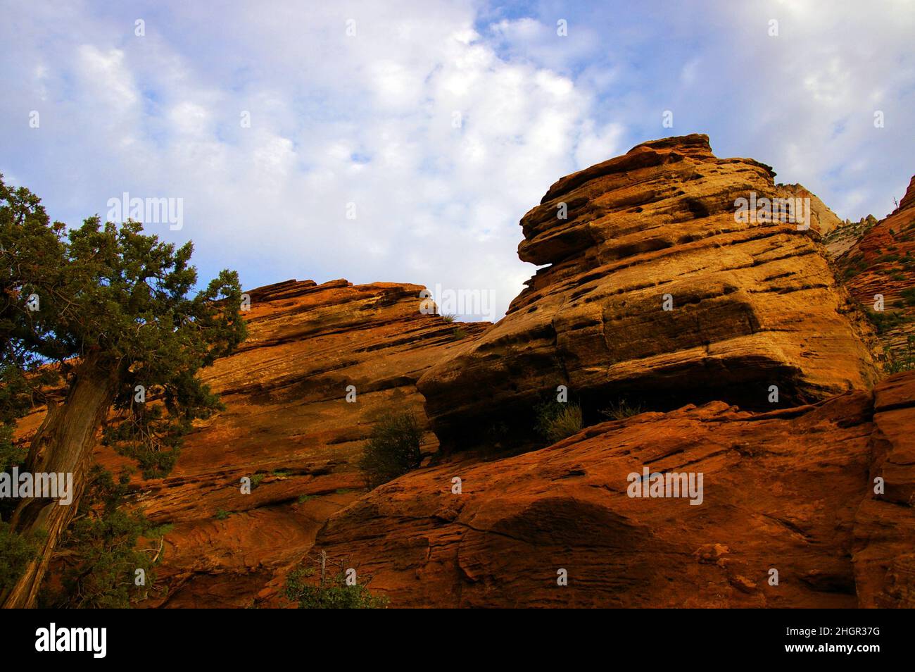 Sandstone rock formations in the desert southwest Stock Photo