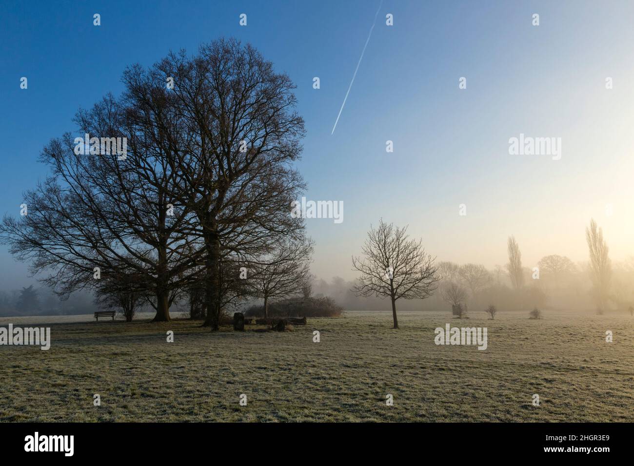 Winters morning mist Stock Photo