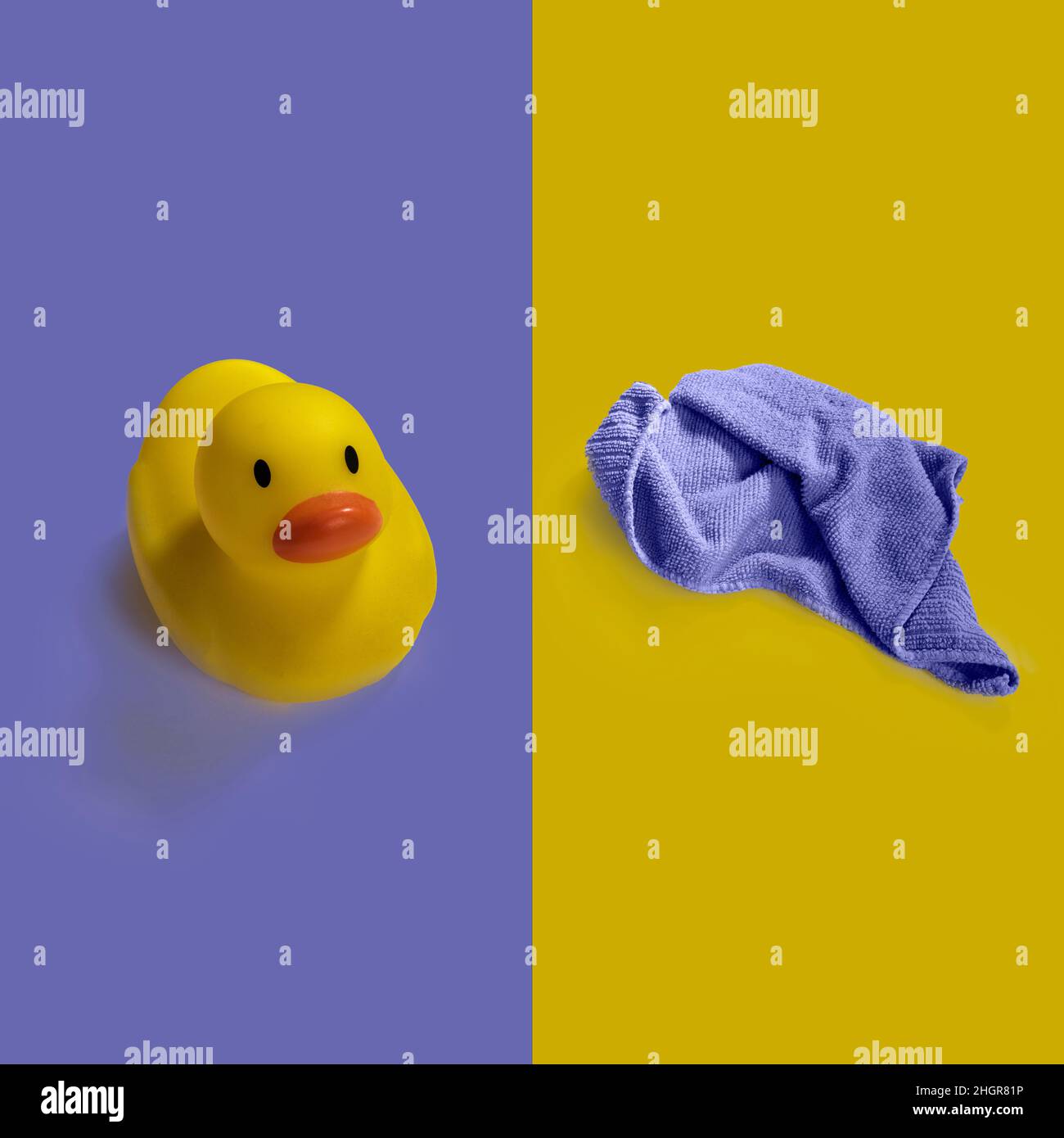 Yellow toy duck wtih a purple flannel on contrasting coloured backgrounds, Stock Photo