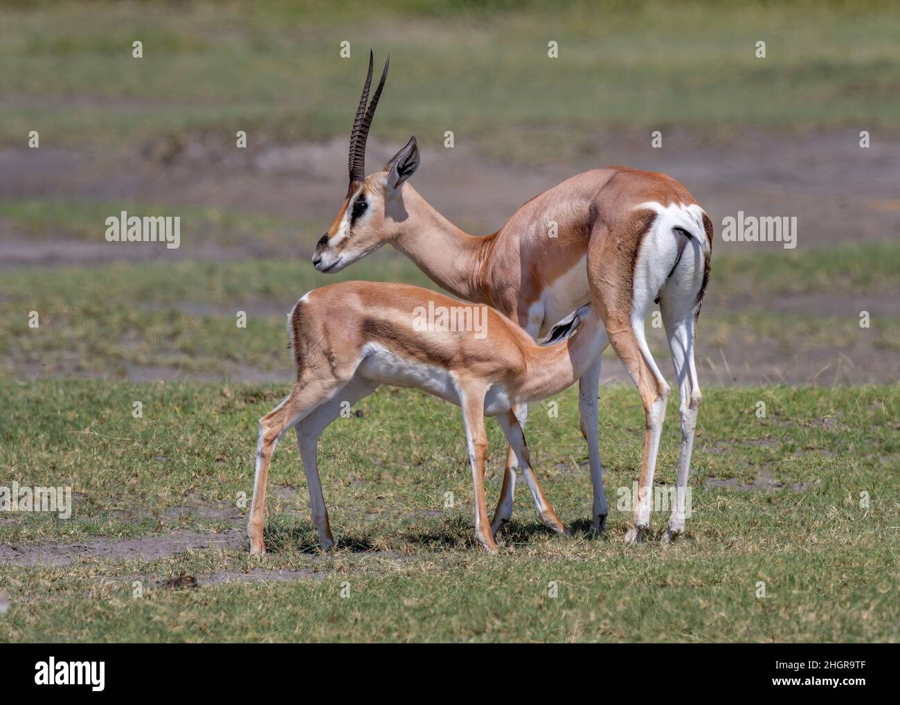 Yosh qizning qinining fotosurati Kink porno sayt