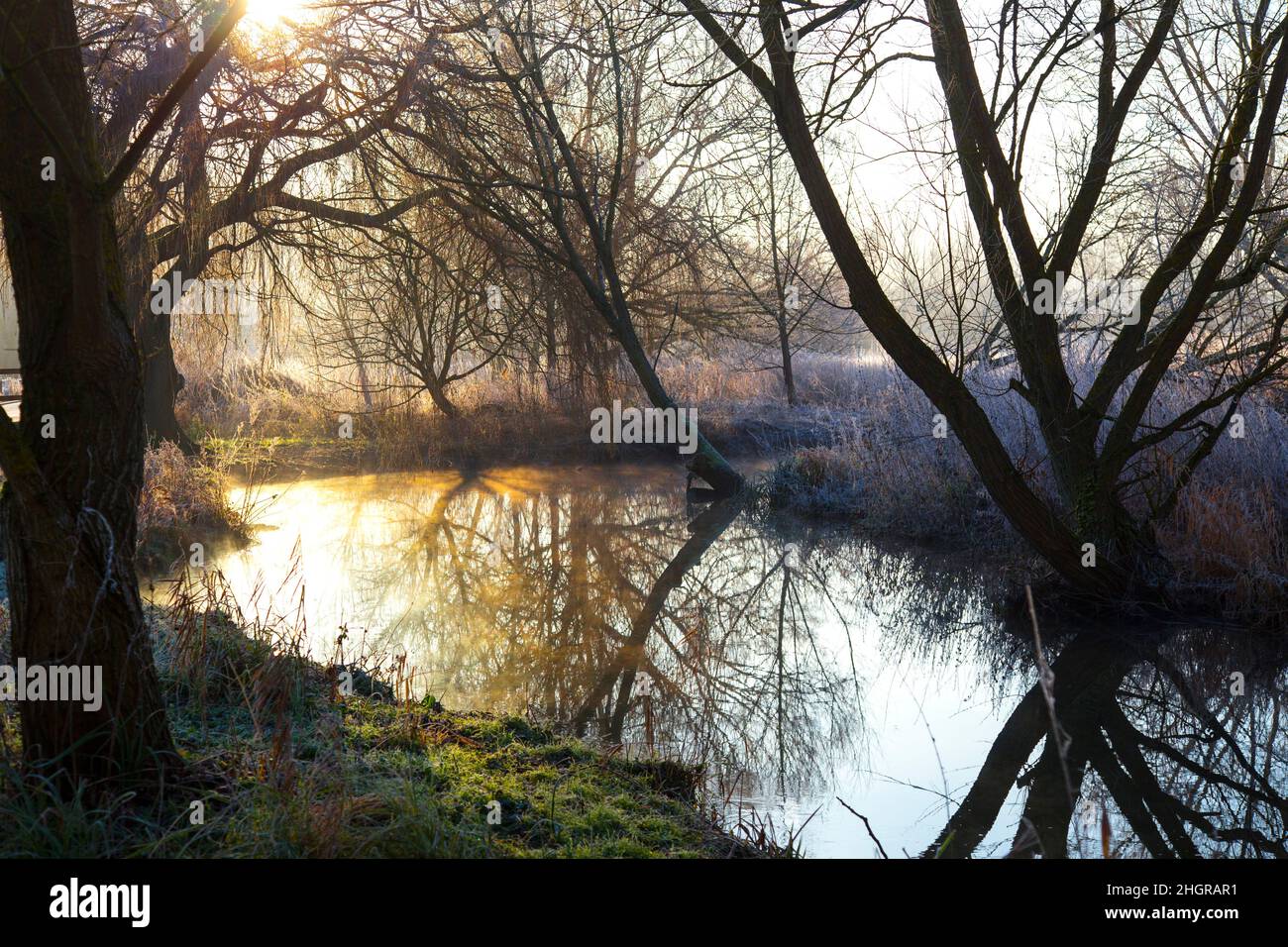 Osier bed hires stock photography and images Alamy