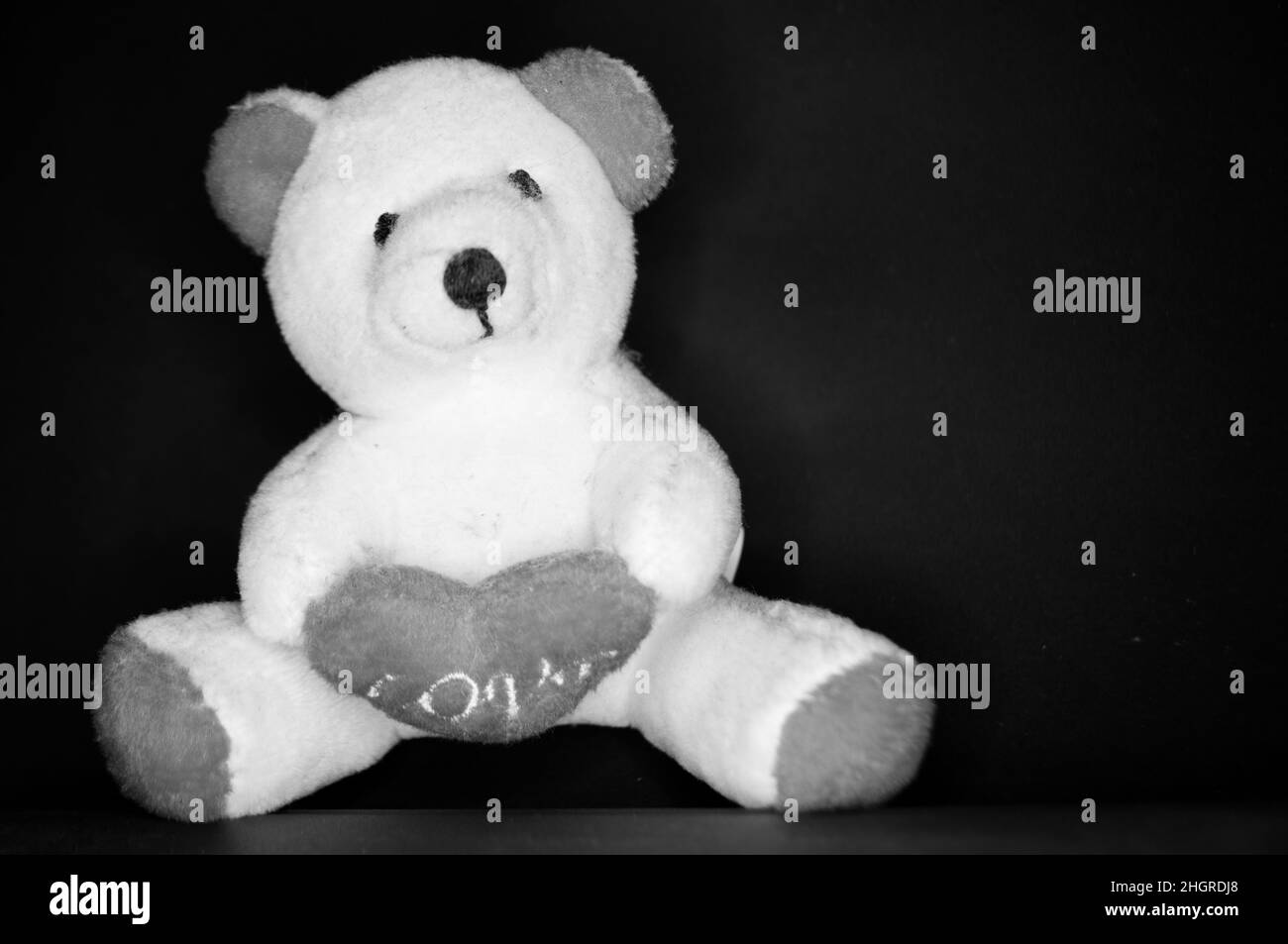 the teddy bear with the heart to congratulate the day of lovers Stock Photo