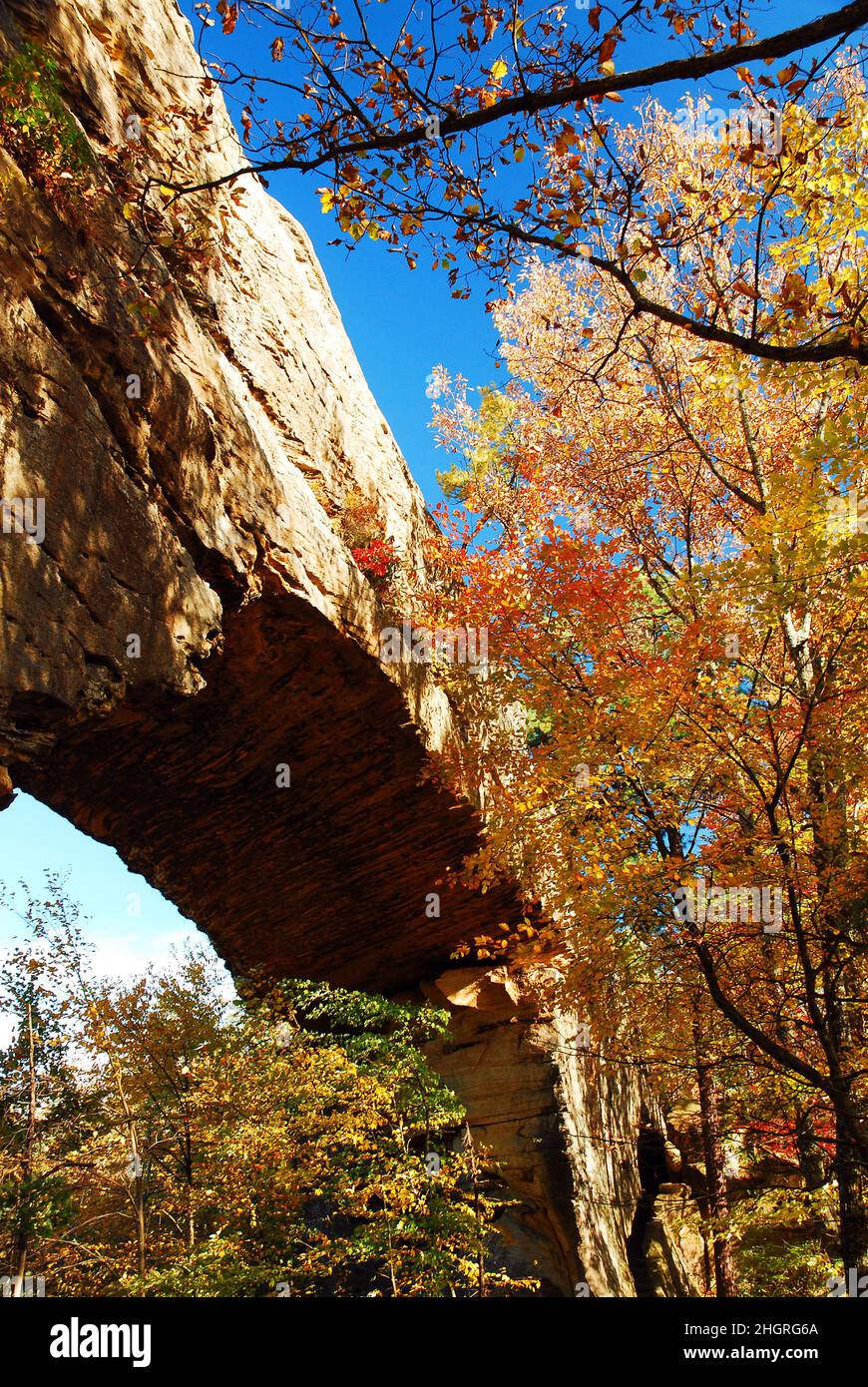 Natural Bridge State Resort in Autumn Stock Photo