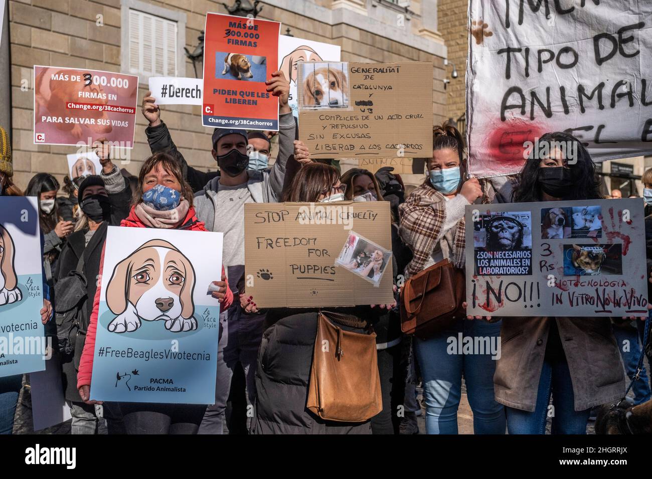Barcelona, Spain. 22nd Jan, 2022. Protesters hold placards against animal  testing during the  of people have gathered in Plaza  de Sant Jaume called by the Pacma animal rights party to protest