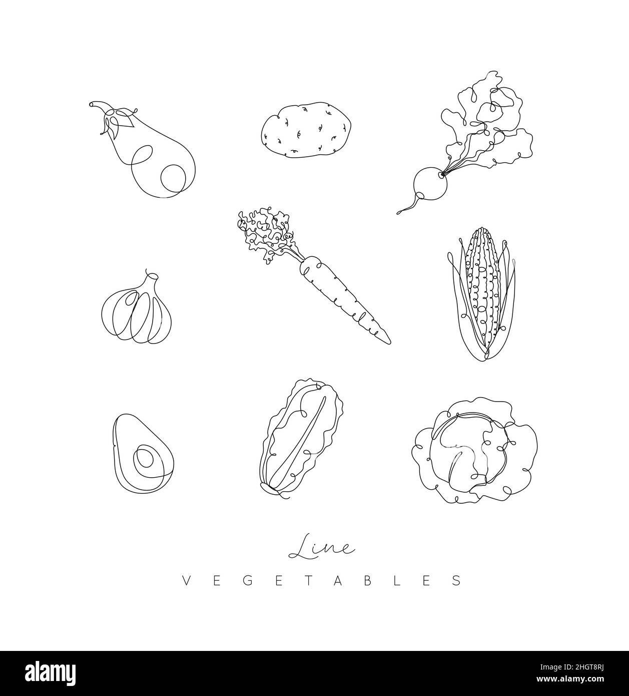 Vegetables icons eggplant, potato, radish, garlic, carrot, corn, avocado, cabbage in pen hand drawing lines style on white background Stock Vector