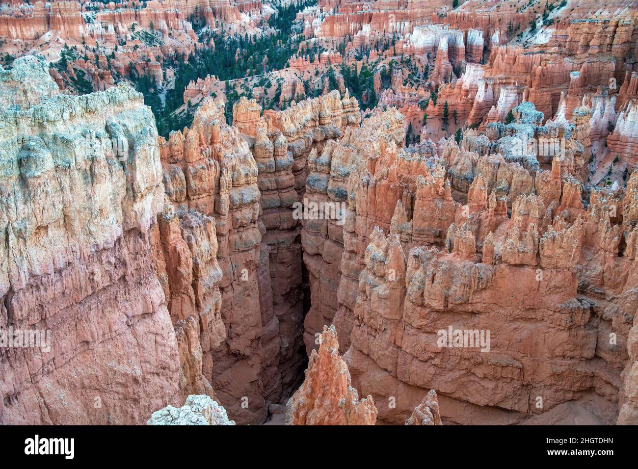 Aerial view of Bryce Canyon at summer sunset. Overlook of orange