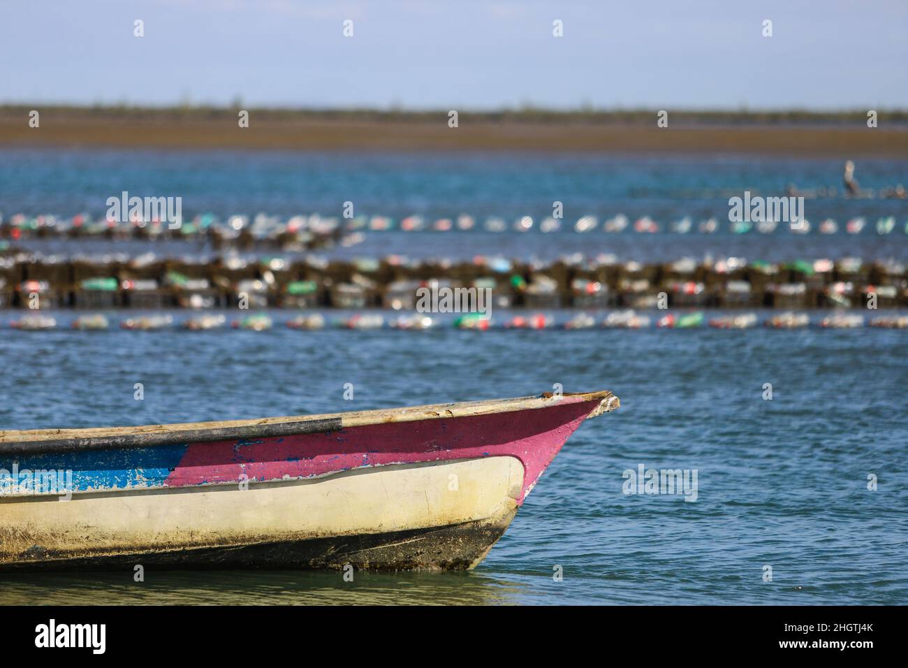 Fishing boat, fisherman's panga in Kino Bay. Pelican in the estuary Sonora Mexico. Bote de pesca, panga de pescadores en bahia Kino.  Pelicano en el estero Sonora Mexico.  © (photo by Luis Gutierrez/Norte Photo) Stock Photo