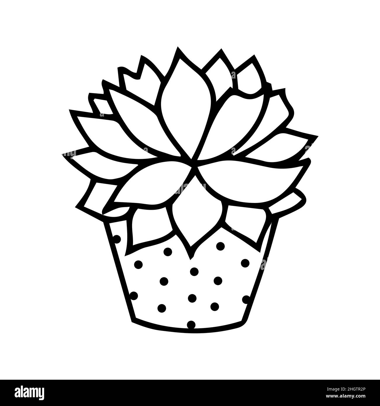 Vector home plants in pots, outline drawings on a white background. Doodle style. Botanical garden vector clipart. Cartoon plants. Stock Vector
