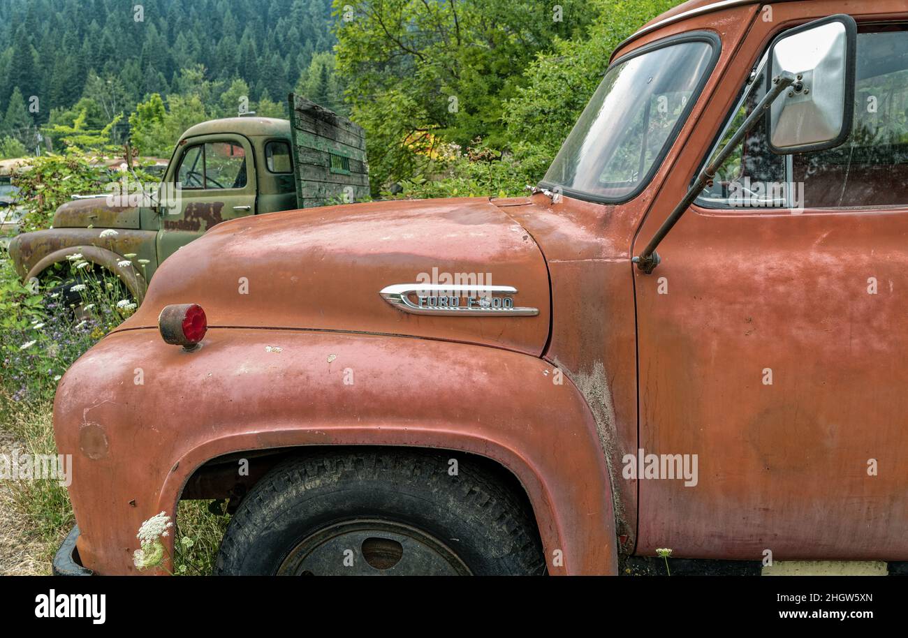 The quarter panel of a 1953 Ford F600 truck in a junkyard in Idaho, USA ...