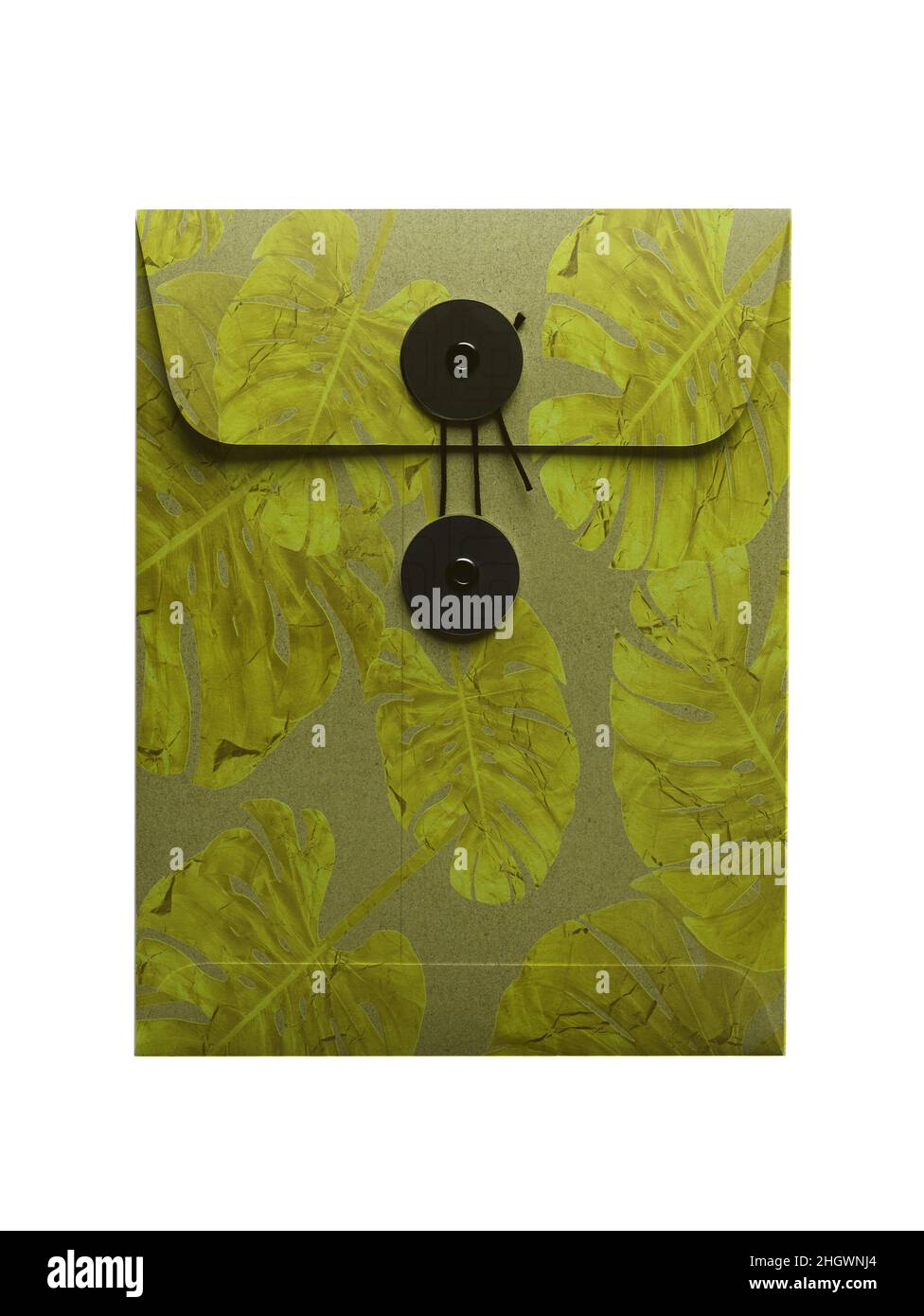 String envelope in vintage style isolated on white background. Green leaves pattern. Kraft paper. Stock Photo