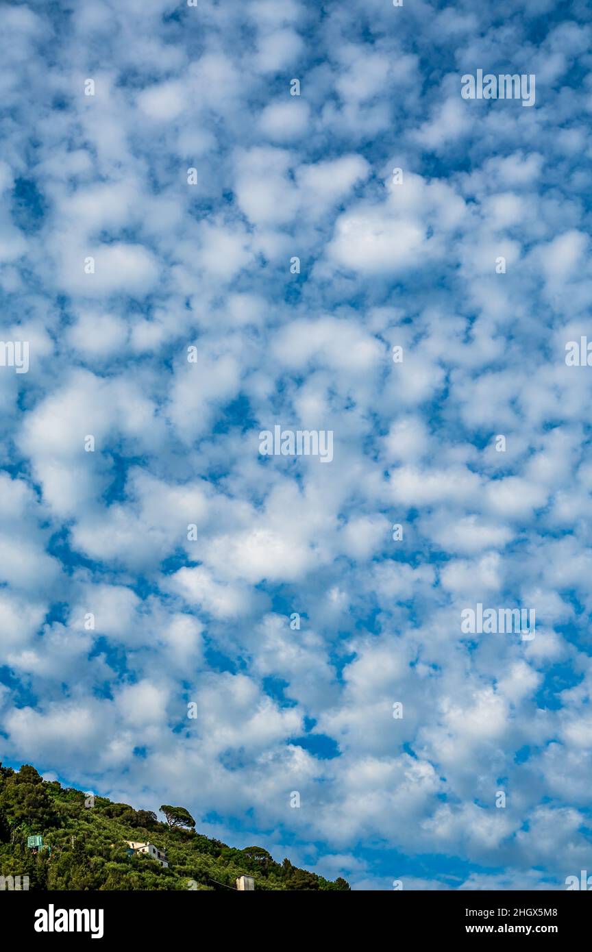 Sky full of white clouds Stock Photo