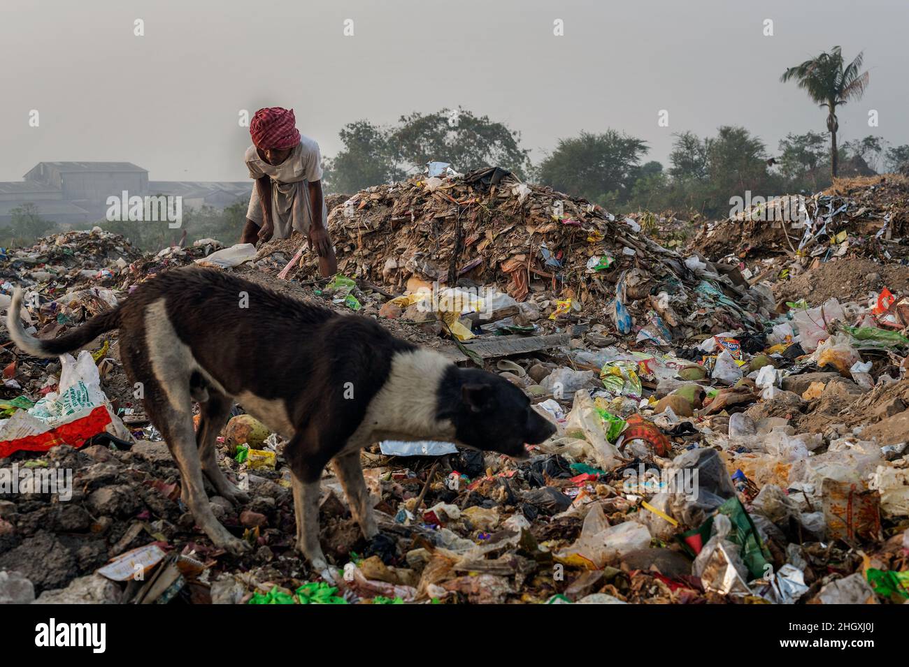 Dalit (untouchable) workers collect and sort waste in Garbage City, the largest landfill in the city of Kolkata (Calcutta), India Stock Photo
