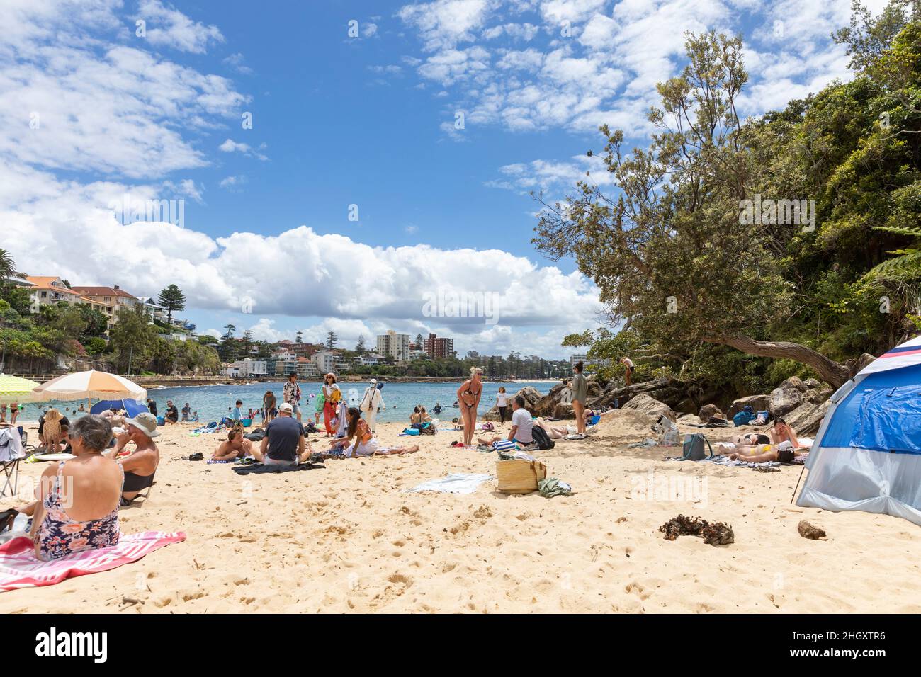 Shelly Beach Sydney, Shelly beach is close to Manly Beach in Sydney and