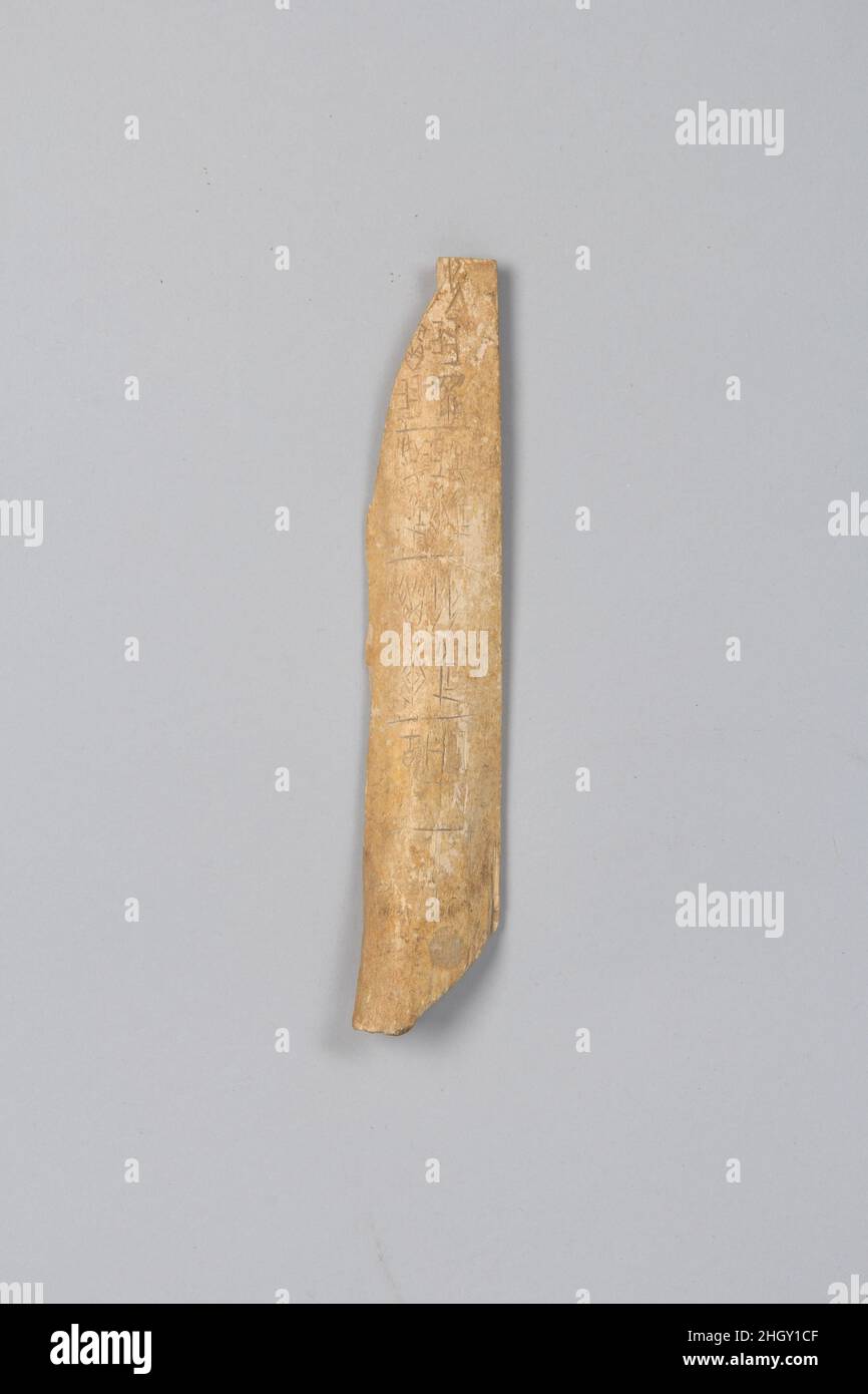 Oracle bone China. Oracle bone. China. Inscribed bone. Shang dynasty (ca. 1600–1046 B.C.). Bone Stock Photo