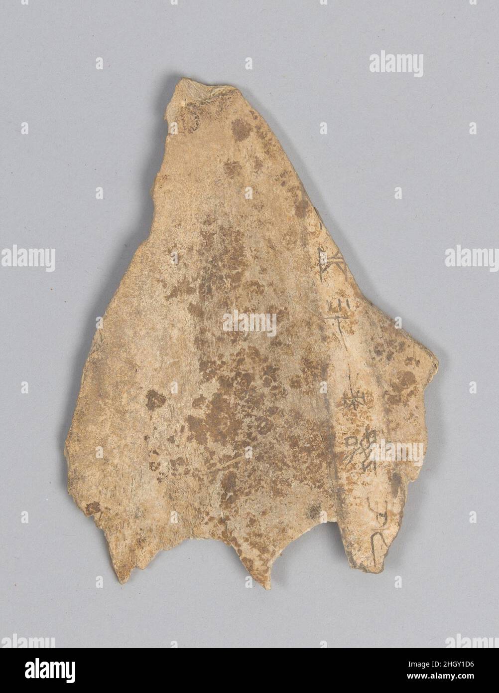 Oracle bone fragment China. Oracle bone fragment. China. Inscribed bone. Shang dynasty (ca. 1600–1046 B.C.). Bone Stock Photo