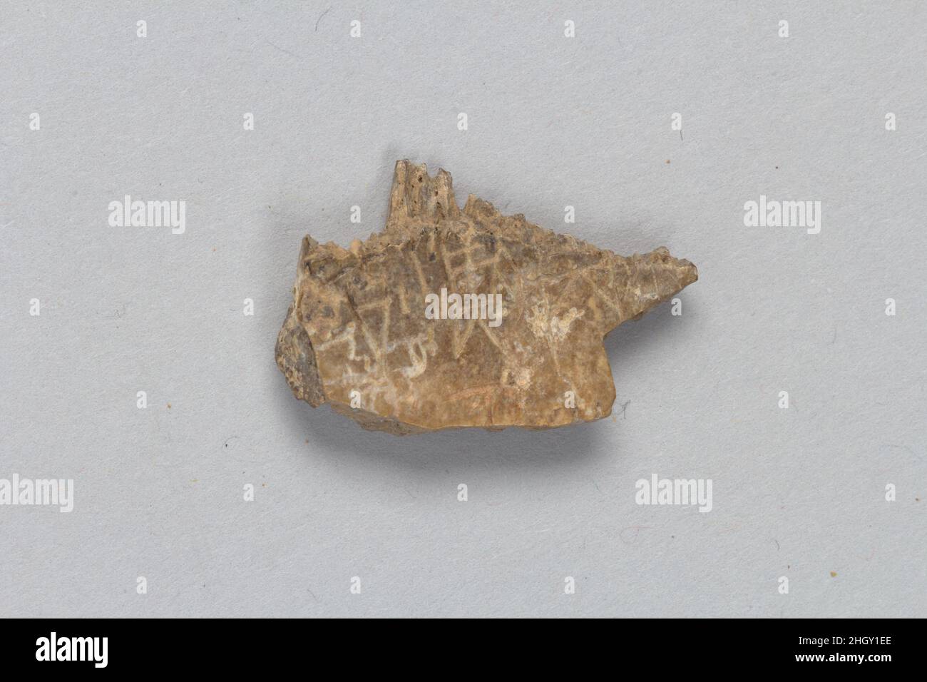 Oracle bone fragment China. Oracle bone fragment. China. Inscribed bone. Shang dynasty (ca. 1600–1046 B.C.). Bone Stock Photo