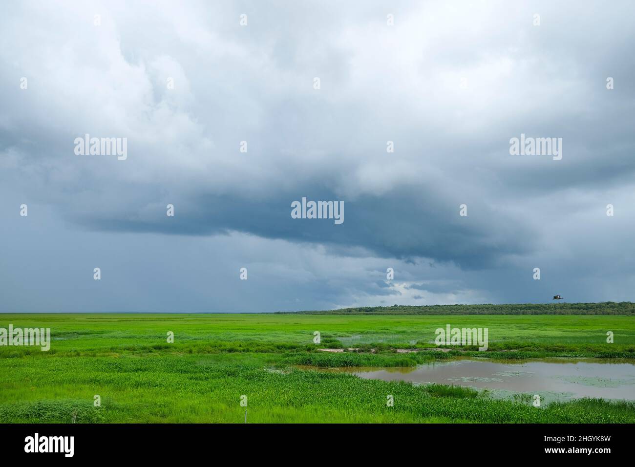 Fogg Dam Conservation Reserve wetlands on overcast day Stock Photo