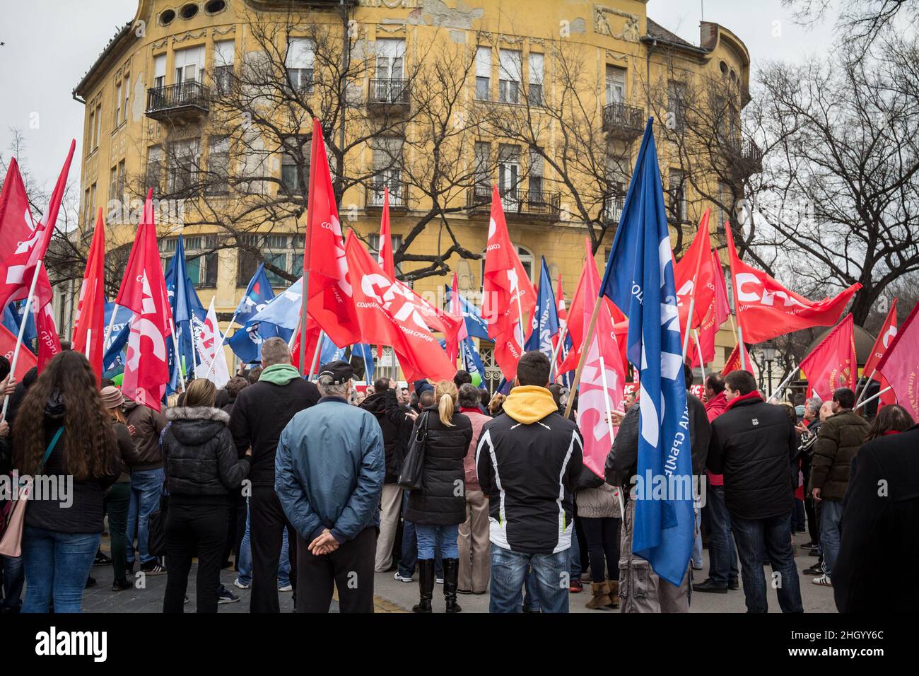 Picture of logo of the SPS, or Serbian Socialist party, on flags on display during a political rally in Subotica, Serbia. Also called Socijalisticka p Stock Photo