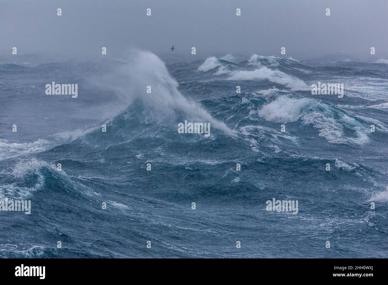 Wild seas in the Southern Ocean, south of Macquarie Island. Stock Photo
