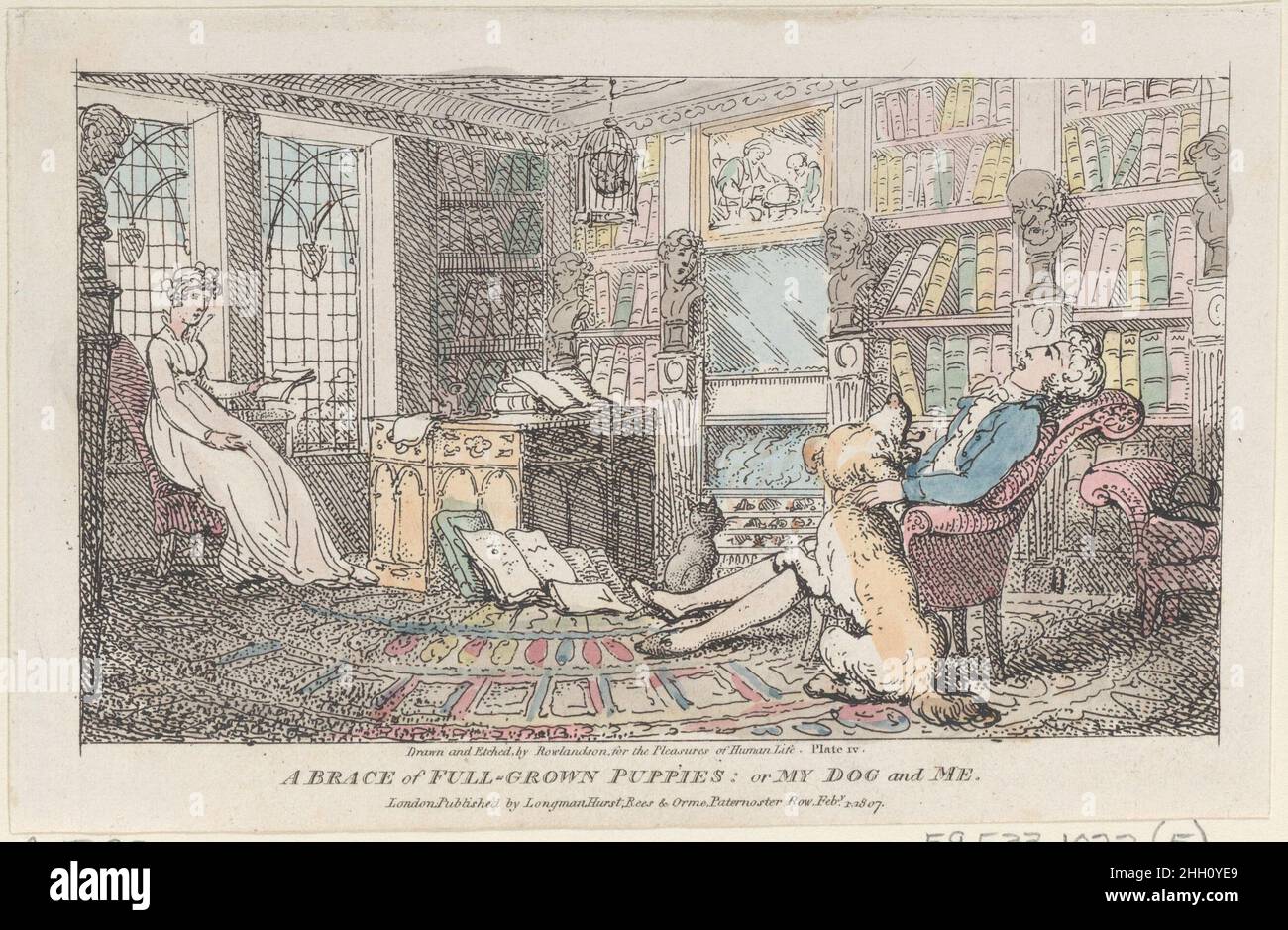 A Brace of Full-grown Puppies: or My Dog and Me 1807 Thomas Rowlandson A young couple in a richly furnished library. The foppish young man at right leans back in an armchair and pets a large dog. At left a pretty young woman holds a book and looks wistfully across at her husband. At right ar four classical busts, a fireplace, a cat, and a gothic revival desk over which hangs a caged bird. Mounted with four other scenes designed and etched by Rowlandson: 59.533.1022(2-4, 6) and title page 59.533.1022(1).. A Brace of Full-grown Puppies: or My Dog and Me. The Pleasures of Human Life. Thomas Rowla Stock Photo
