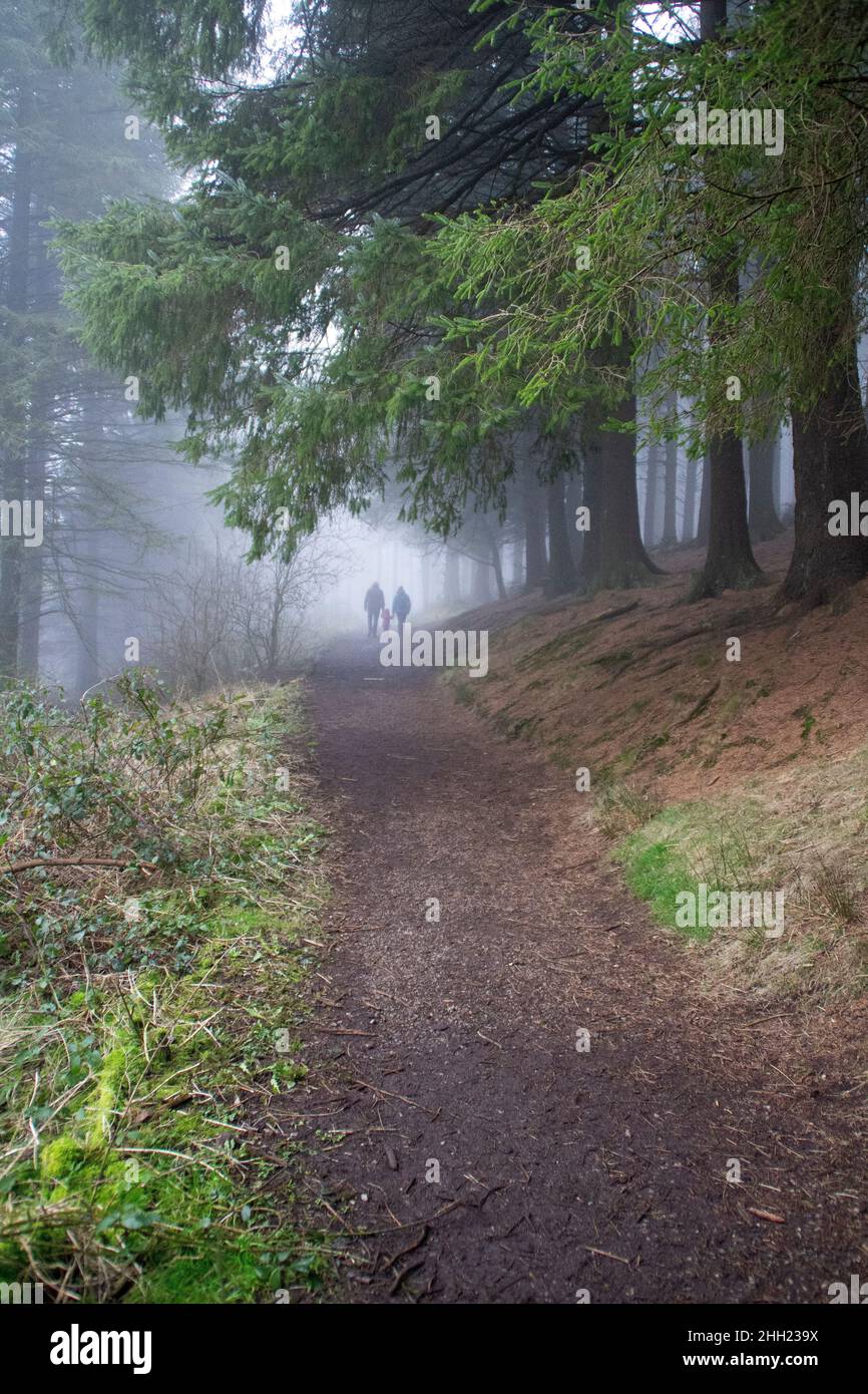 Bowland Fell in Lancashire Stock Photo